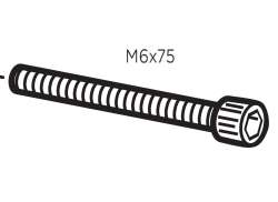 Thule Schraube MC6S M6x75 50618 für RideOn 9502
